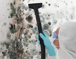 Trusted Chamberlayne, VA Mold Removal Experts